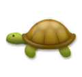 LG🐢 Schildkröte