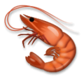 LG🦐 Shrimp
