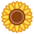 HTC 🌻 Sunflower