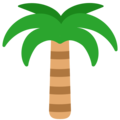HTC 🌴 drzewo palmowe