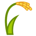 HTC 🌾 du blé