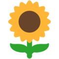 Mozilla 🌻 Yellow Flower