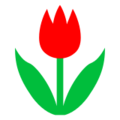 Docomo 🌷 tulipán