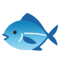 Google 🐟🐠🐡 Fish