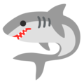 Google 🦈 köpek balığı