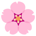 Google 🌸 Cherry Blossom
