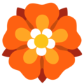 Google 🏵️ Orange Flower