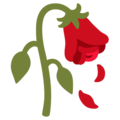 Google 🥀 Dead Rose