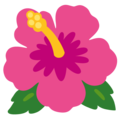 Google 🌺 Hawaii Flower