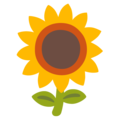 Google 🌻 Sunflower