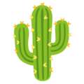 Google 🌵 Cactus