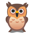 Google 🦉 Owl