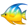 Samsung 🐠 poisson rouge