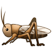 Samsung 🦗 Grasshopper