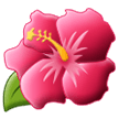 Samsung 🌺 Hawaii Flower
