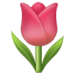 Samsung 🌷 tulipe