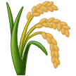 Samsung 🌾 Wheat