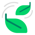 Microsoft 🍃🌿☘️🍀 zielony liść