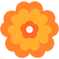 Microsoft 🏵️ Orange Flower