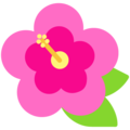 Microsoft 🌺 Hawaii Flower