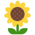 Microsoft 🌻 Yellow Flower