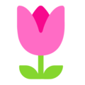 Microsoft 🌷 tulipán