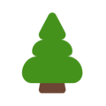 Microsoft 🌲 Pine Tree