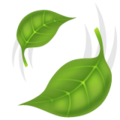 Whatsapp 🍃🌿☘️🍀 zielony liść