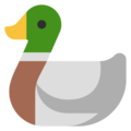 Microsoft 🦆 Duck