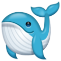 Whatsapp 🐳🐋 Whale