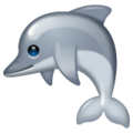 Whatsapp 🐬 Dolphin