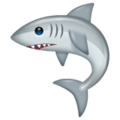 Whatsapp 🦈 Shark