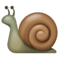 Whatsapp 🐌 Snail