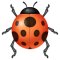 Whatsapp 🐞 Ladybug