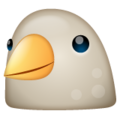 Whatsapp 🐦 Bird
