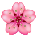 Whatsapp 🌸 Pink Flower