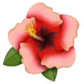 Whatsapp 🌺 Hawaii Flower
