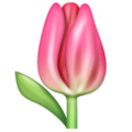 Whatsapp 🌷 tulipán
