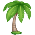 Whatsapp 🌴 drzewo palmowe