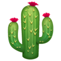 Whatsapp 🌵 Cactus