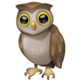 Whatsapp 🦉 Owl