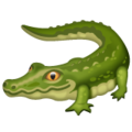 Whatsapp 🐊 Alligator
