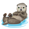 Whatsapp 🦦 Otter