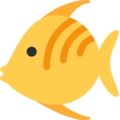 Twitter 🐠 Goldfish