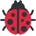 Twitter 🐞 Ladybug