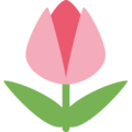 Twitter 🌷 tulipán