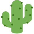 Twitter 🌵 cactus