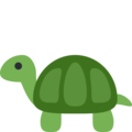 Twitter 🐢 Schildkröte