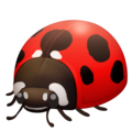 Facebook 🐞 Ladybug