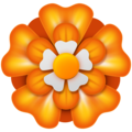 Facebook 🏵️ Orange Flower